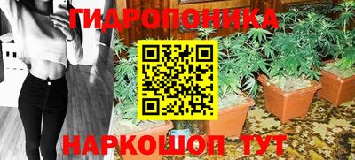 ГАЛЛЮЦИНОГЕННЫЕ ГРИБЫ Ипатово