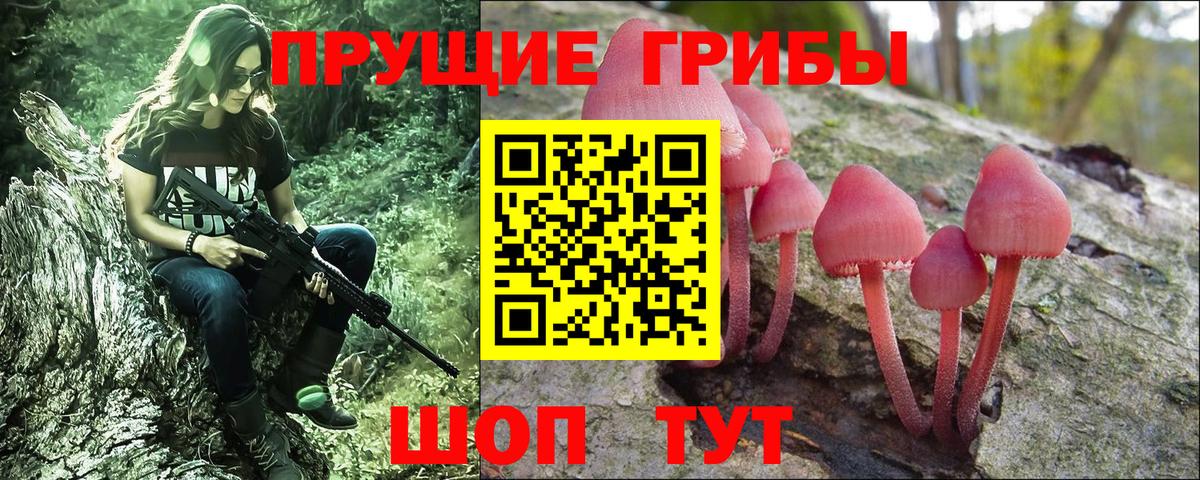 Галлюциногенные грибы Magic Shrooms  купить наркоту  Малгобек  Вход с VPN 