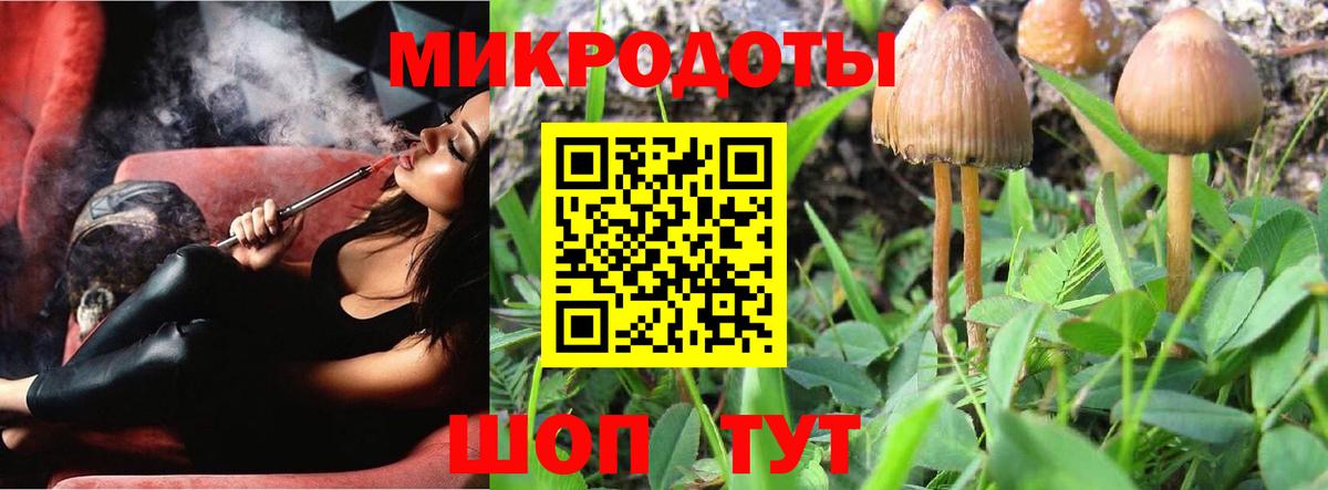 Галлюциногенные грибы Малгобек